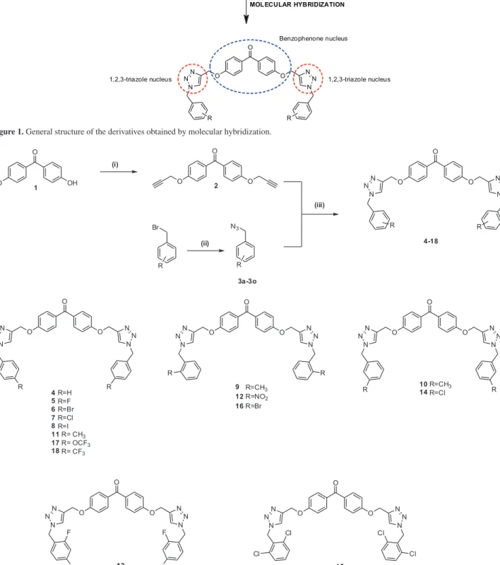 Figure 2. Synthetic steps involved in the preparation of triazole derivatives of 4,4’-dihydroxybenzophenone