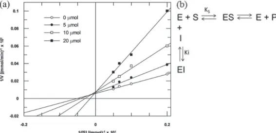 Table  2. Kinetic parameters from elastase inhibition by compound 8  (means ± standard deviation)