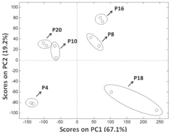 Figure 3. PCA model for chromatographic profiles matrix obtained from  the extracts relative to P4, P8, P10, P16, P18 and P20 protocols