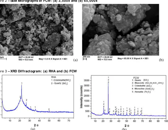 Figure 2 – SEM Micrographs of FCW: (a) 3, 500x and (b) 65, 000x 