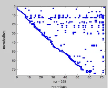 Figure 3. Sparse matrix of the K. hansenii core model. The matrix  contains 329 non-zero elements (blue points), with 4,703 zero  elements (white points)