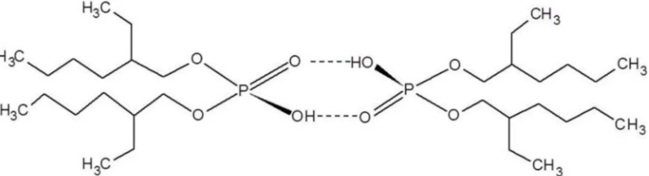 Figure 1. Dimeric structure of di-2-ethylhexyl phosphoric acid (D2EHPA) (Adapted from Pereira, 2006).