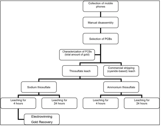 Figure 1. Flowchart of the methodology used in the study.