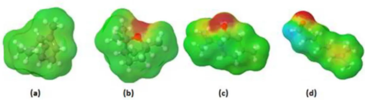 Figure 2. Three-dimensional images of charge density surfaces generated by JCOSMO. (a) α-pinene; (b) eucalyptol; 