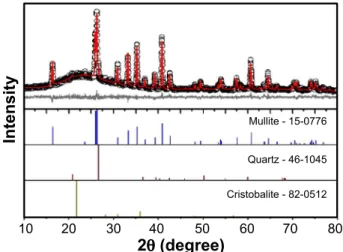 Figure  2:  SEM  micrograph  of  the  kaolinite  clay/kaolin  waste       mixture fired at 1400 °C (m: mullite, g: glassy phase).