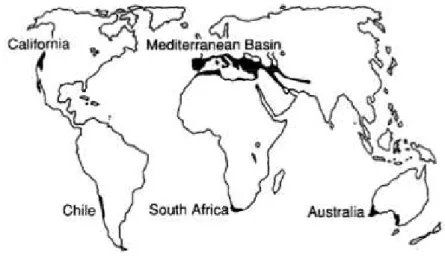 Figure 2.6: Areas with mediterranean climate [20]
