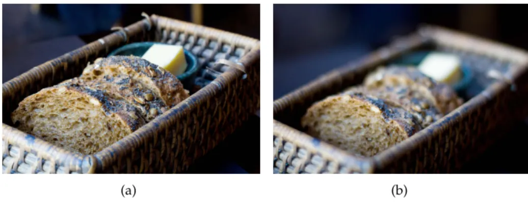 Figure 2.1: Difference between a shallow depth of field (a) and a wider depth of field (b) [Kam12].
