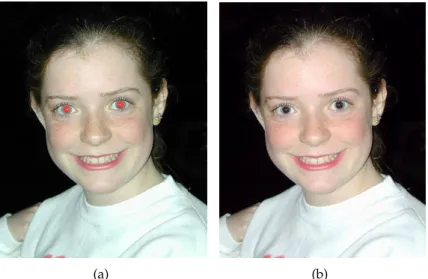 Figure 2.9: Image (a) before and (b) after applying the auto enhancing tool. It is possible to see that the red-eye remover only darkens the red area and does not take in account the real colour of the eye.