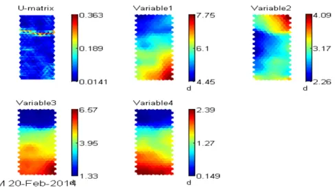 Figure 8 : Iris Dataset, generated in SOM toolbox 