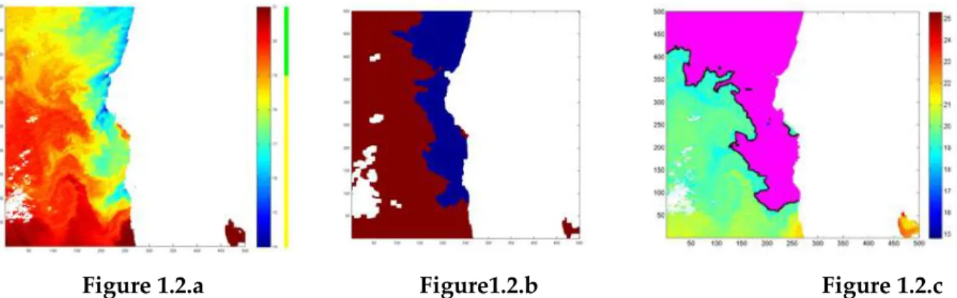 Figure 1.2: Applying SEC on SST image, (1.2a) original SST image, (1.2b) corresponding ground truth map, (1.2c)  segmentation result by applying the ST-SEC algorithm