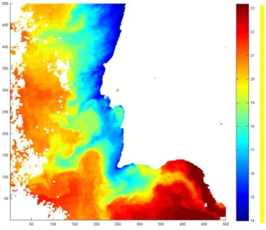 Figure 1.1: SST image of the portuguese coast (1 August 1998). The temperature values are codified in a color scale, where blue represents colder waters and red warmer waters.