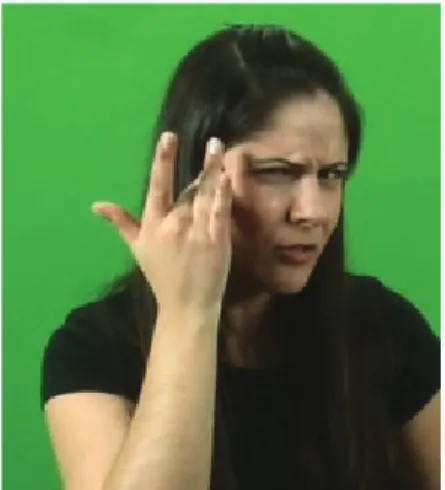 Figura 1 – Sinal ACHAR ao fi nal  de uma interrogativa total.