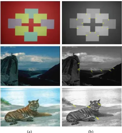 Figura 2.2: Deteção de T-Junctions, imagem adaptada de [DS09]. (a) Imagem original; (b) Imagem com as T-junctions detetadas.