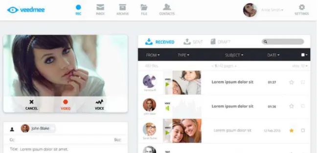 Figure 1.1: Example of VeedMee’s user interface