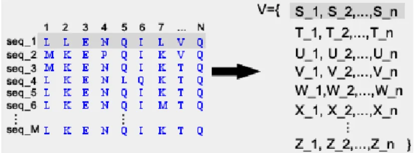 Figure 5.1: Variable based representation of sequences