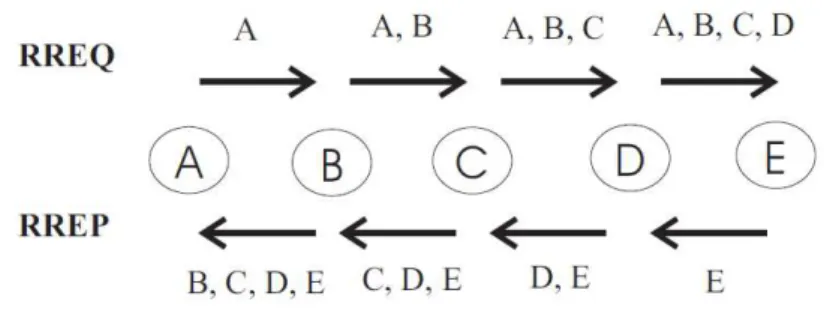 FIGURE 2.1 ACCUMULATION IN RREQ AND RREP MESSAGES 