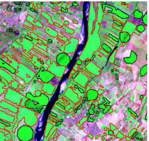 Figure 1.1: Simple crop identification. Red border is tomato, Black border is maize Source Prof
