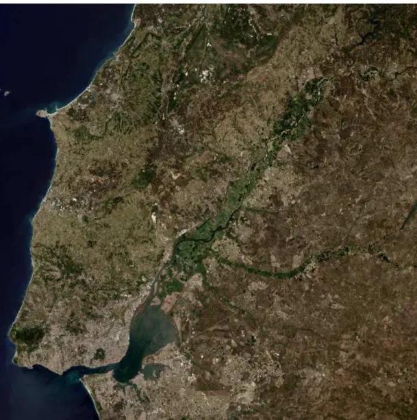 Figure 1.2: The study area. Image generated by combining Landsat 8 bands 2, 3 and 4 (Blue, Green and Red).
