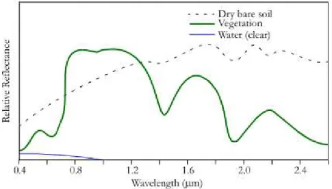 Figure 2.1: Idealized spectral response patterns for red and green. Source East- East-man (2003)