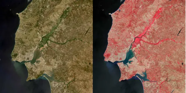 Figure 2.5: Example of images obtained by combining various bands Figure 2.5 shows an example of different information obtained by combining different bands, and how the infrared band in the second image provides  infor-mation about the crops around the Ta