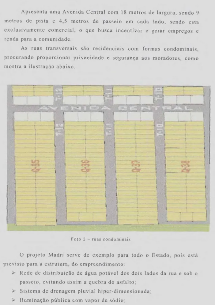 Foto  2 —  ruas  condominais 