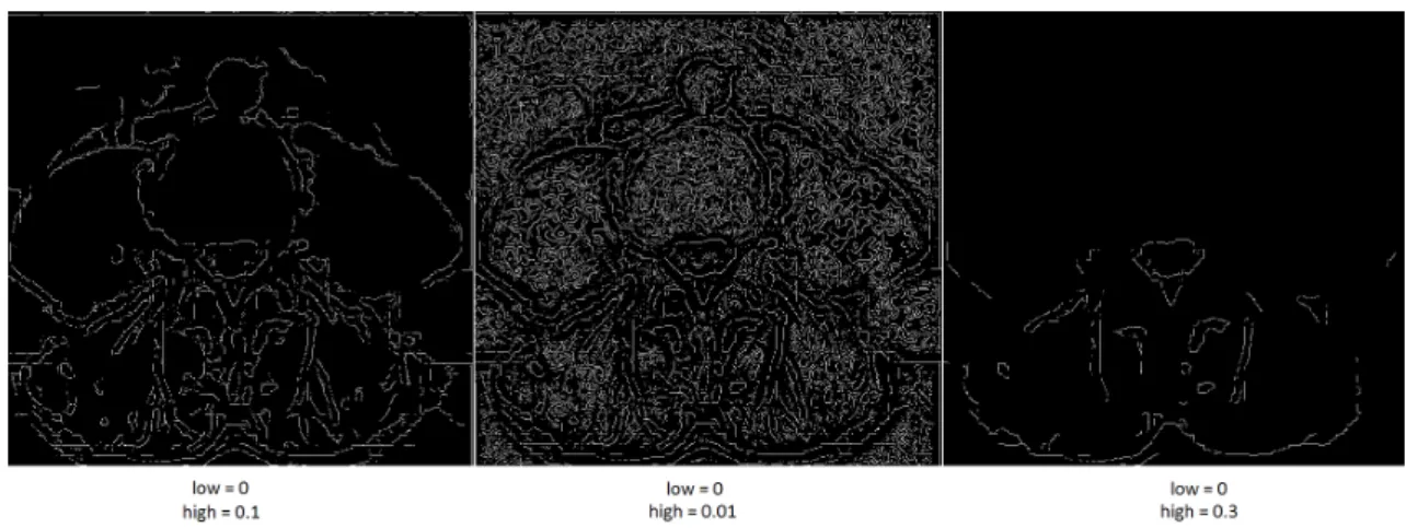 Figure 3.7: Canny edge detector results.