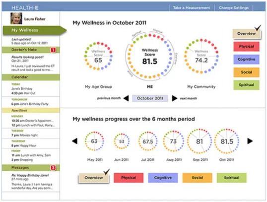 Figure 7: Radial plot representation of holistic wellness for older adults. 