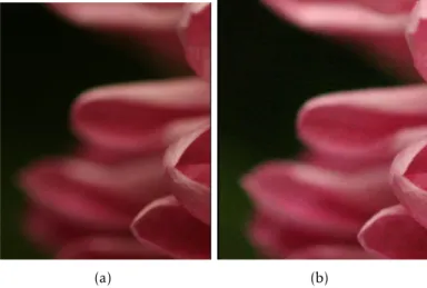Figure 2.5: Di ff erence between an image with ISO value of 100 (a) and 3200 (b) 4 .