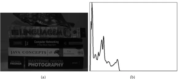 Figure 3.3: Underexposed image before histogram equalization (a) and respective his- his-togram of colour intensities (from 0 to 255) (b).