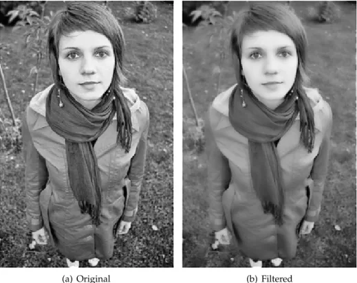 Figure 2.8: An example of bilateral filtering application: a picture with no filtering (a) and with bilateral filtering (b), smoothing the differences between pixels [18].