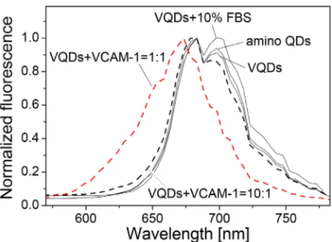 Figure 8. Blue-shift observed after incubation in tube. Fluores- Fluores-cence spectra of amino QDs, VQDs, VQDs + 10% FBS, VQDs + VCAM-1 (10:1) (black dash line) and VQDs + VCAM-1 (1:1) (red dash line) are shown.