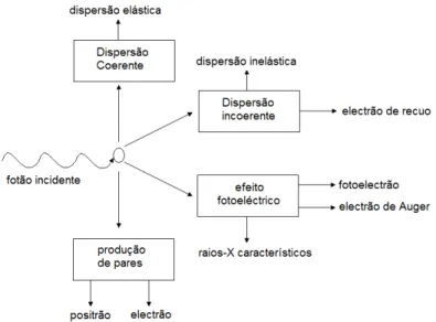 Figura 1.1 - Processos de interacção possíveis com um fotão primário e as suas emissões secundárias