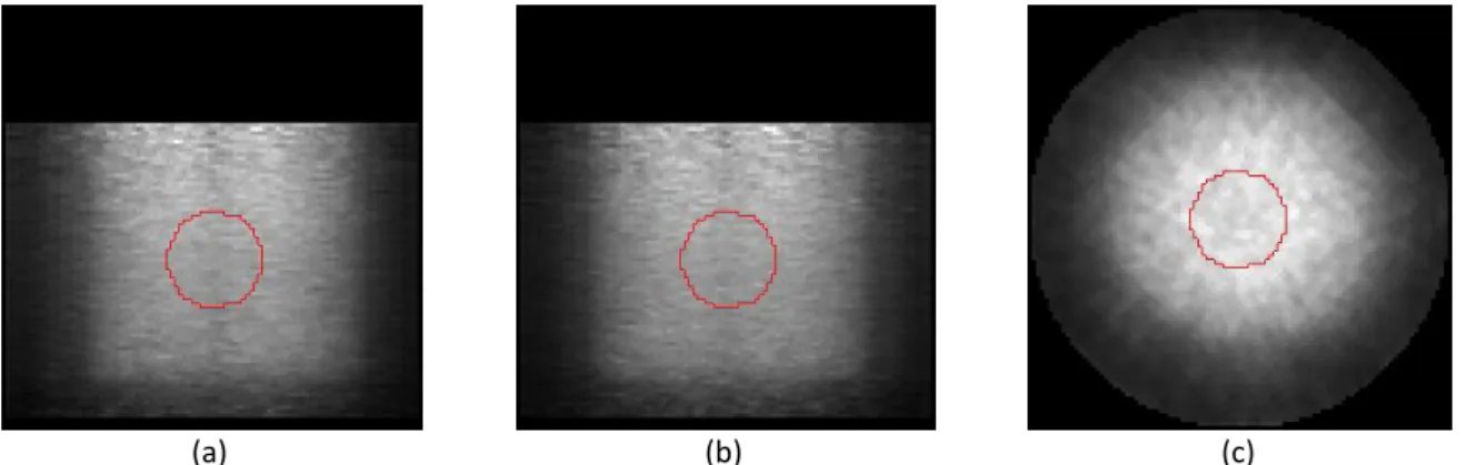 Figure 5.6: Representation of the ROIs used in the study for (a) yz , (b) xz and (c) xy views