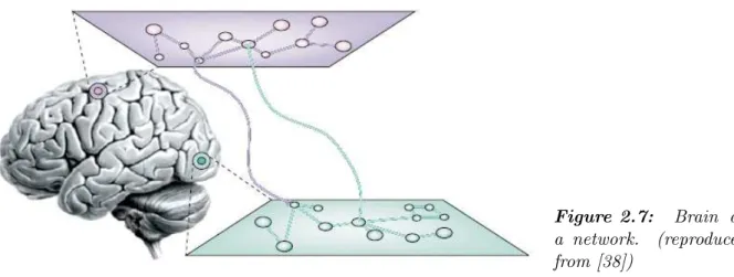 Figure 2.7: Brain as a network. (reproduced from [38])