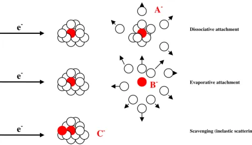 Figure 2.7 – Illustration of some electron induced processes in clusters induced by low energy electrons: 