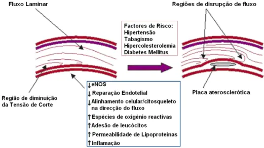 Figura 1.16 – Tensão de Corte e a Aterosclerose (adaptado de [29]).