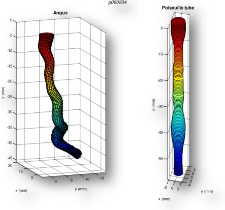 Figure 4.1 - 3D reconstruction of a left anterior descending artery by the ANGUS method (in  the left) and a Poiseuille cylinder with the same cross sectional area 