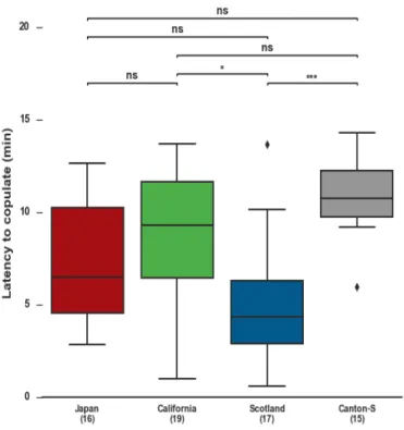 Figure 4.4: Latency to copulate of the female fly, in each strain (ns, not significant, *p < 0.05,