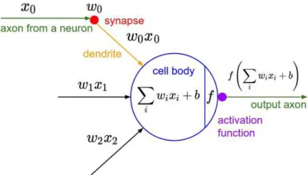 Figure 2.2: Illustration of the artificial neuron model, with the corresponding biological equivalent components