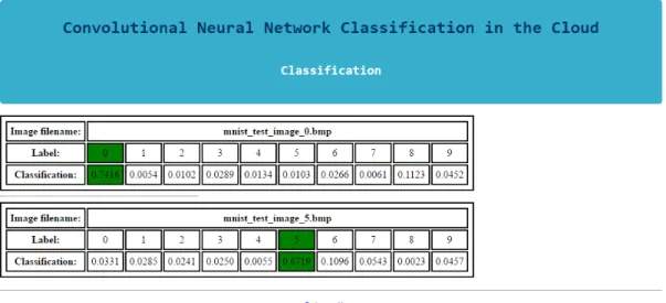 Figure 4.9: Classification Results Interface - here, the application outputs the classifica- classifica-tion results for each image in the dataset