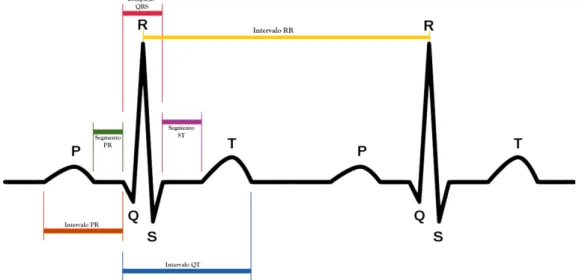 Figura 2.3: Ilustração de um ECG com as ondas e segmentos realçados. Retirado de [18].