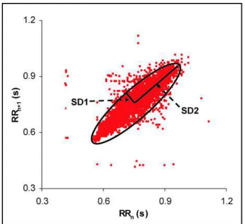 Figure 2.5: Poincaré Plot. SD1 - length of the transverse line. SD2 - length of the longitudinal line