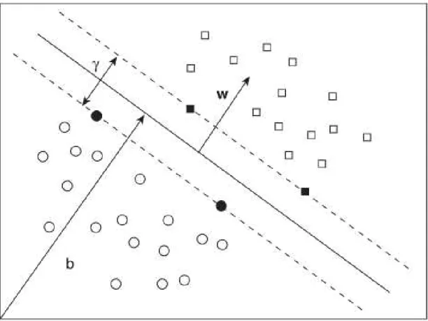 Figure 2.13: Support Vector Machine - The hyperplane separates the data into two classes: