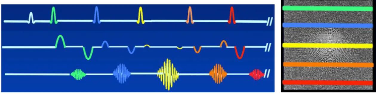 Figure 2.3: Representation of a Fast Spin Echo Sequence. For each 180° pulse a diﬀerent phase encoding is applied (a)