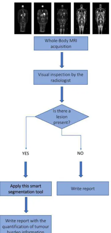Figure 1.1: Flowchart of a future MRI analysis, by the radiologist. By introducing a smart segmentation tool, that helps to delineate lesions in semi-automatic way, this information can complement the written report