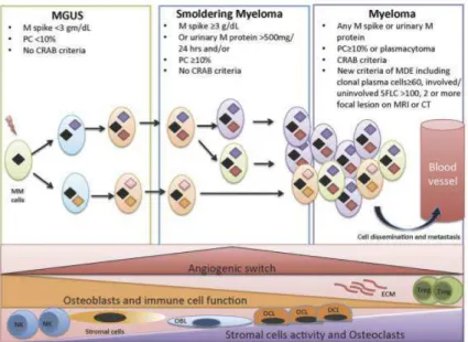 Figure 4.1: Biological evolution from MGUS to SMM to symptomatic MM and clinical criteria summary