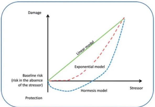 Figure 1.3: There are several proposed models to explain the dose-response curve between radiation exposure and carcinogenic risk