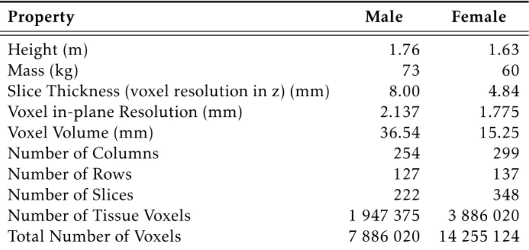 Table 4.1: Main characteristics of the ICRP male and female reference phantoms. Adapted from [66].