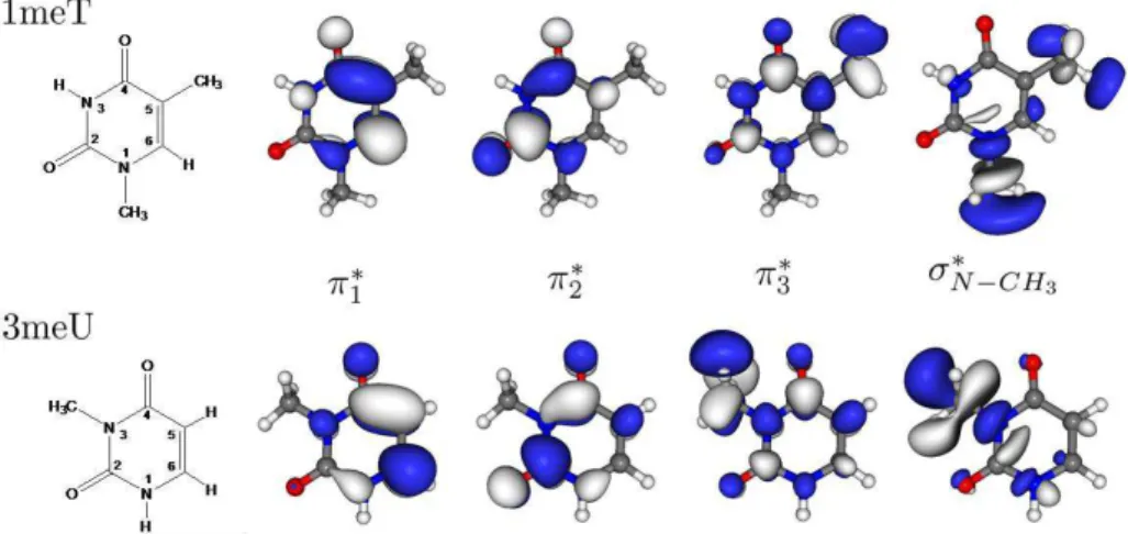 Figure 4.1 Structure and virtual orbitals of π* character as well as of σ* character along the N -CH 3  coordinate of  the neutral 1meT and 3meU molecules obtained at the HF/6-31G* level of theory.