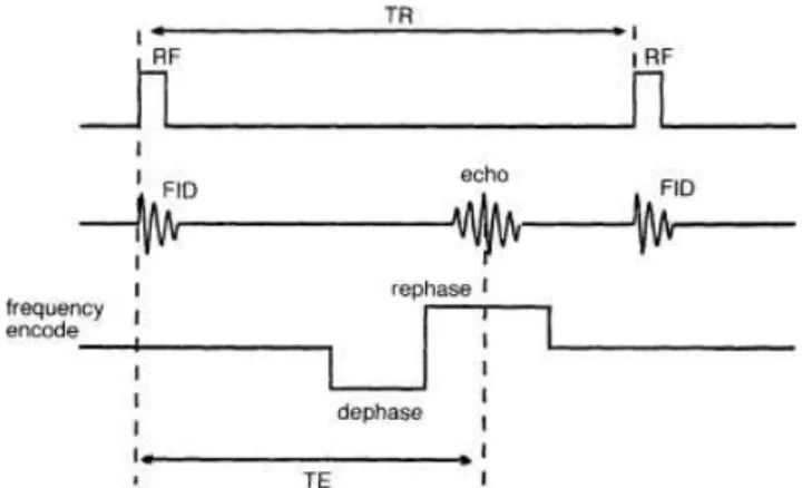Figura 1.9 – Esquema da sequência eco de gradiente. Adaptado de [13]. 